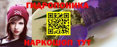 круглые Тара