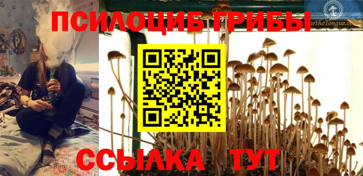 Галлюциногенные грибы MAGIC MUSHROOMS Среднеуральск