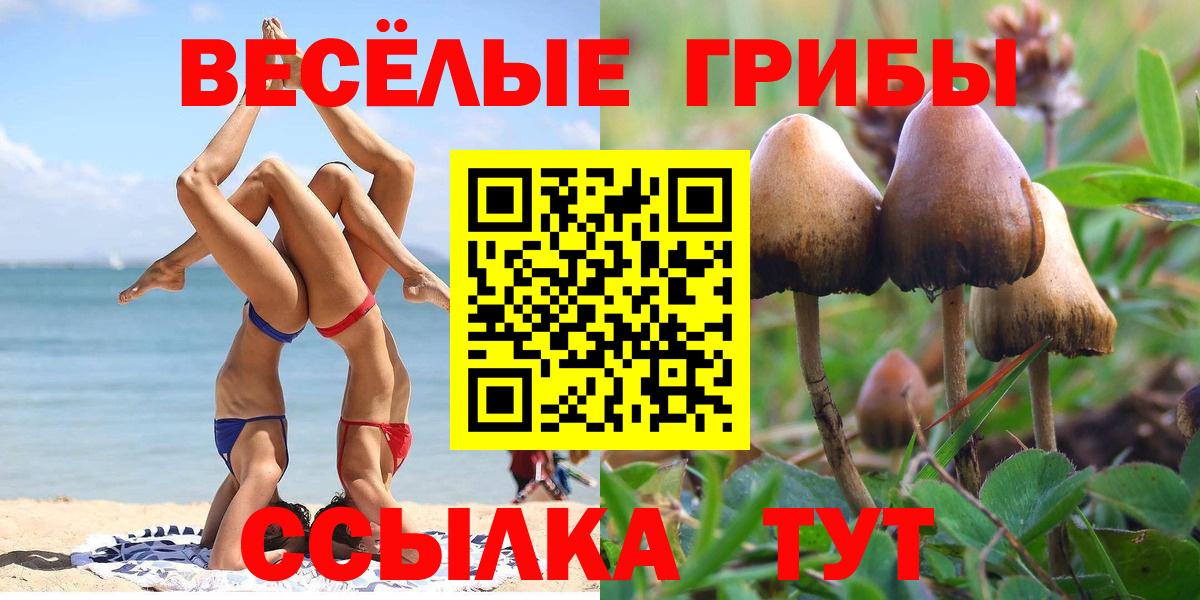 Среднеуральск  Псилоцибиновые грибы GOLDEN TEACHER  Вход с VPN 